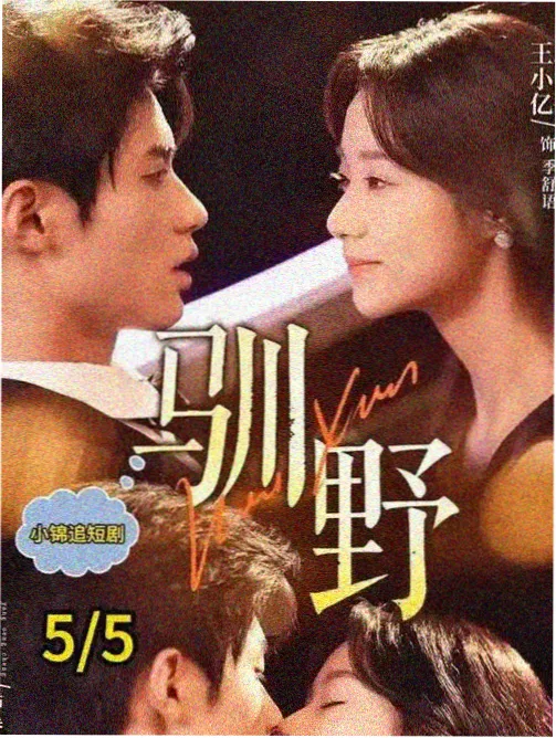 爱情伦理电影海边的第三人完整版